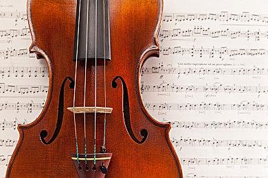 《蚂蚁帝国》单人战役IGN 3分 Steam多半好评