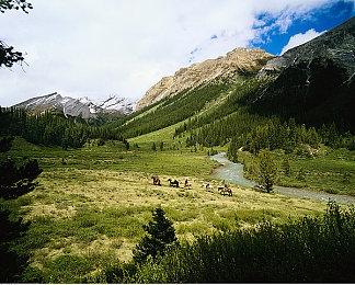 国产青春喜剧《茶啊二中》官宣第二部 第一部票房达3.46亿